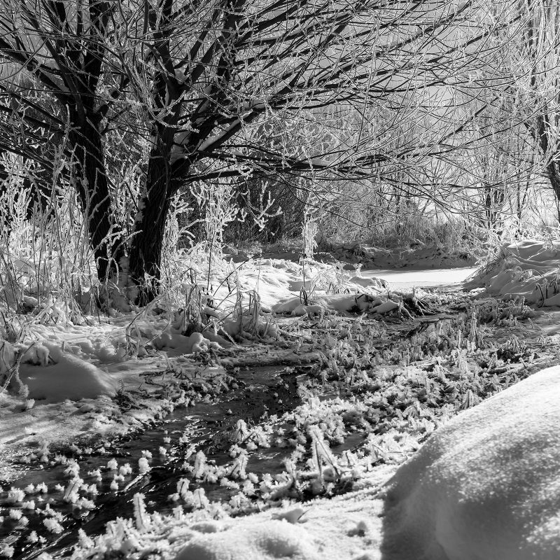 Bachlauf