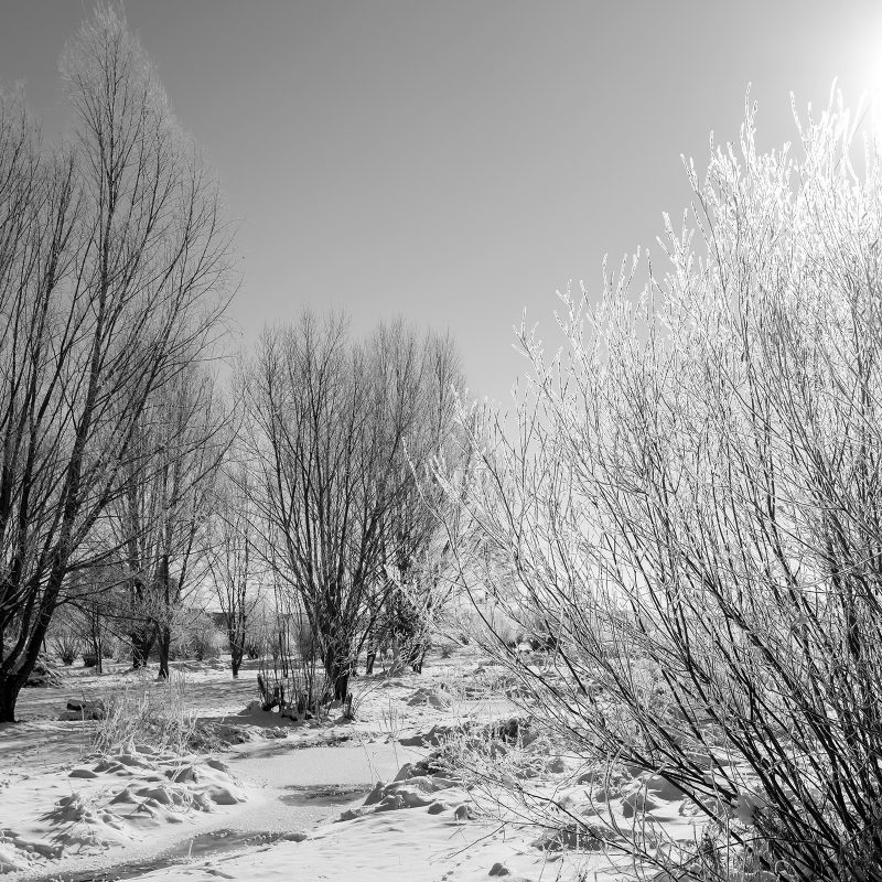 Winterlandschaft