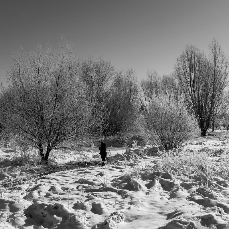Winterlandschaft