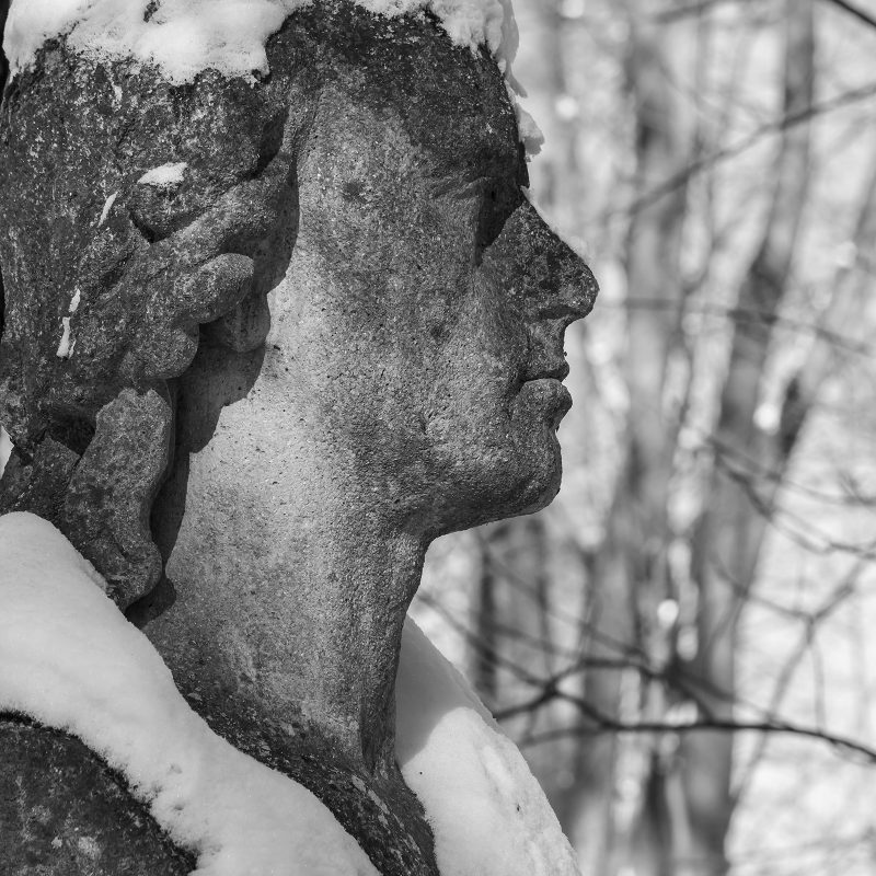 Schillers Schal aus Schnee