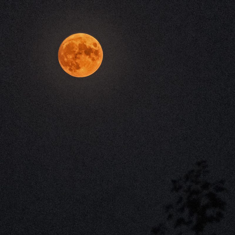 Vollmond über Arad