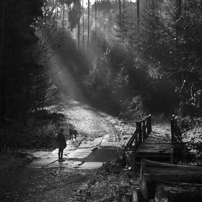 Böhmischer Wald - Český les