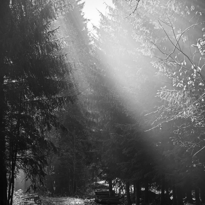 Böhmischer Wald - Český les