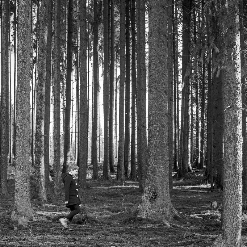 Böhmischer Wald - Český les