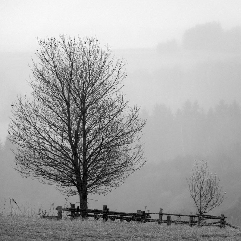 Herbststimmung bei Martnau (Martinov)