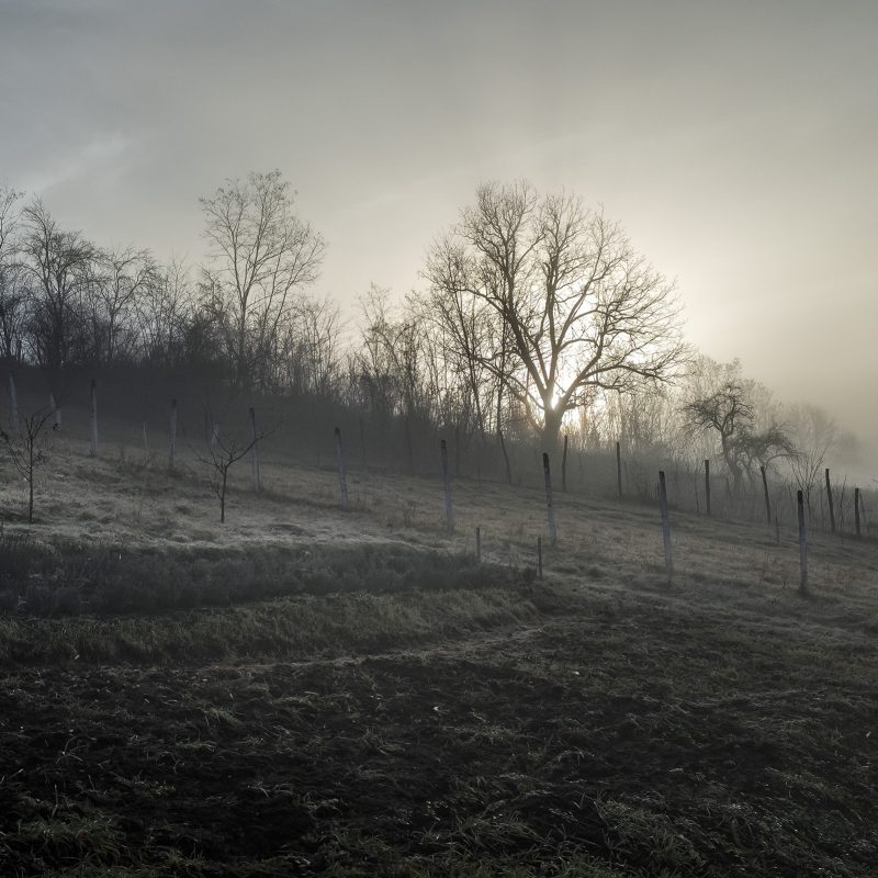 Reichesdorf, Richiș, Riomfalva