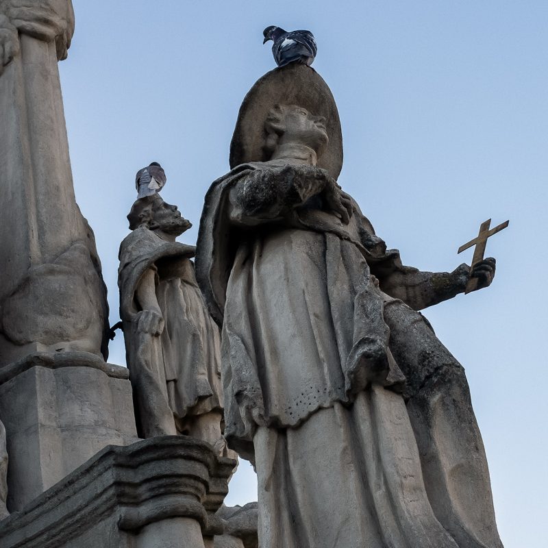 himmelwärts, Pestsäule Temeswar