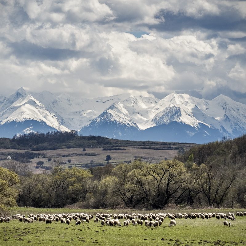 Landschaft bei Schlatt, Zlagna, Szászzalatna