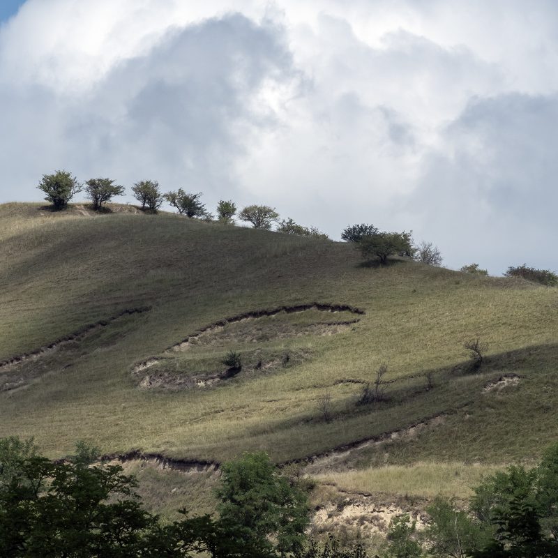 Hügel im Weinland