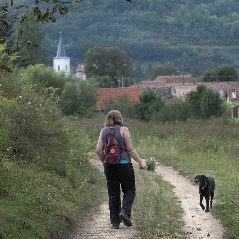 Reichesdorf, Richiș, Riomfalva