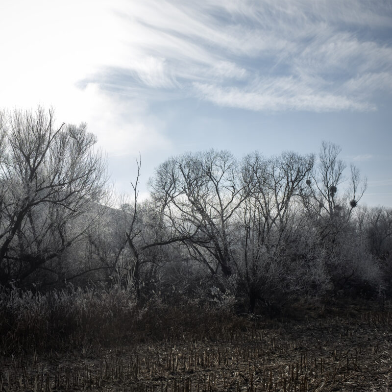 Winterlandschaft bei Zlagna, Schlatt, Szászzalatna