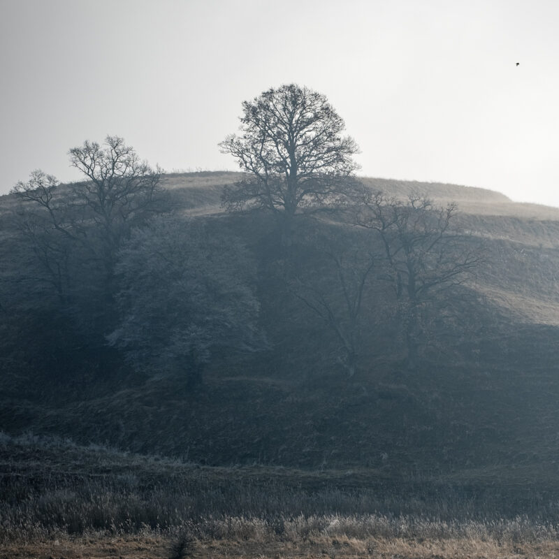 Winterlandschaft bei Zlagna, Schlatt, Szászzalatna