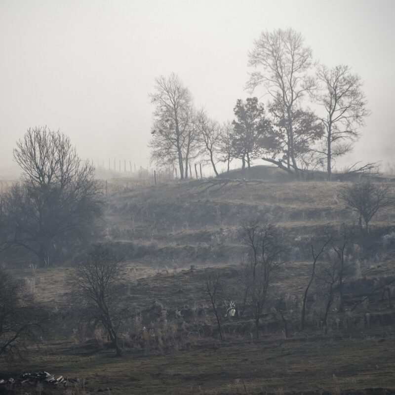 Winterlandschaft bei Zlagna, Schlatt, Szászzalatna