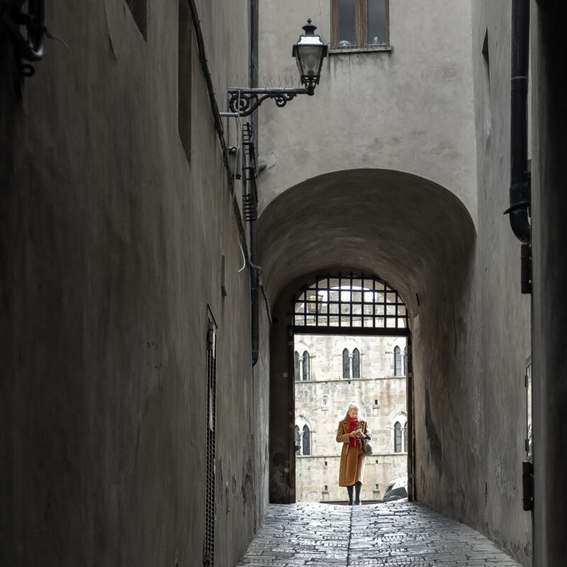 Volterra