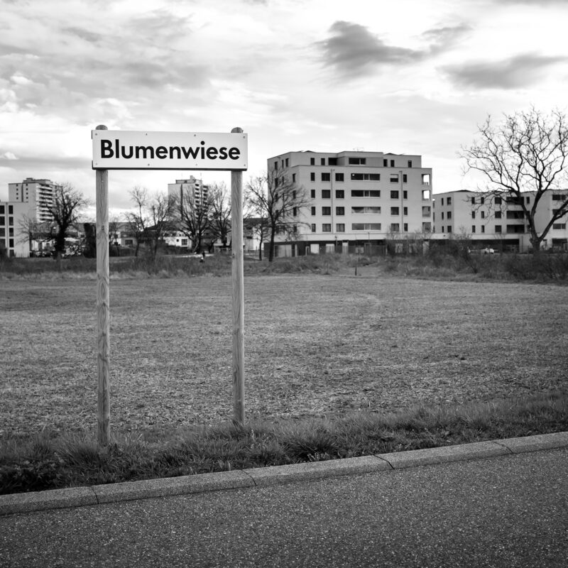 Weil am Rhein, Blumenwiese unweit des Vitra Campus