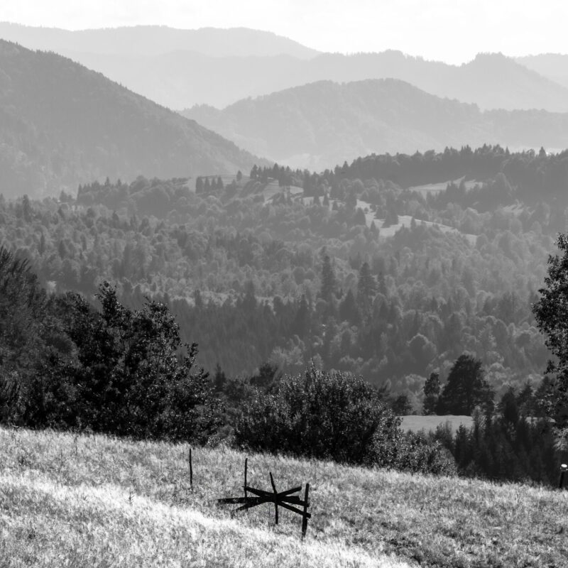 Ciosa - Blick Richtung Rodnaer Gebirge - Munții Rodnei