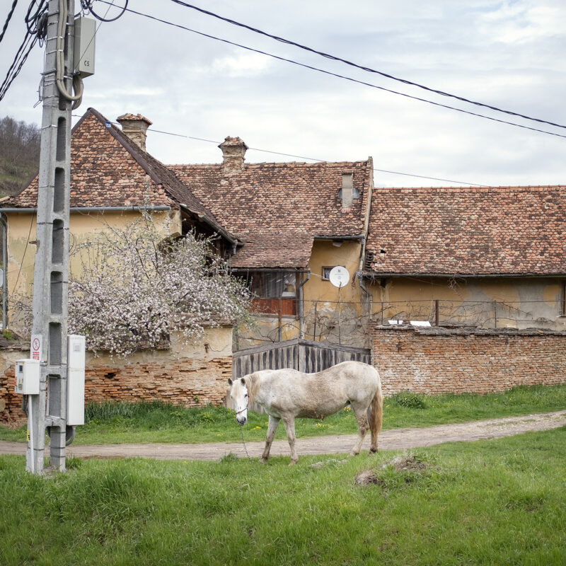 Reichesdorf