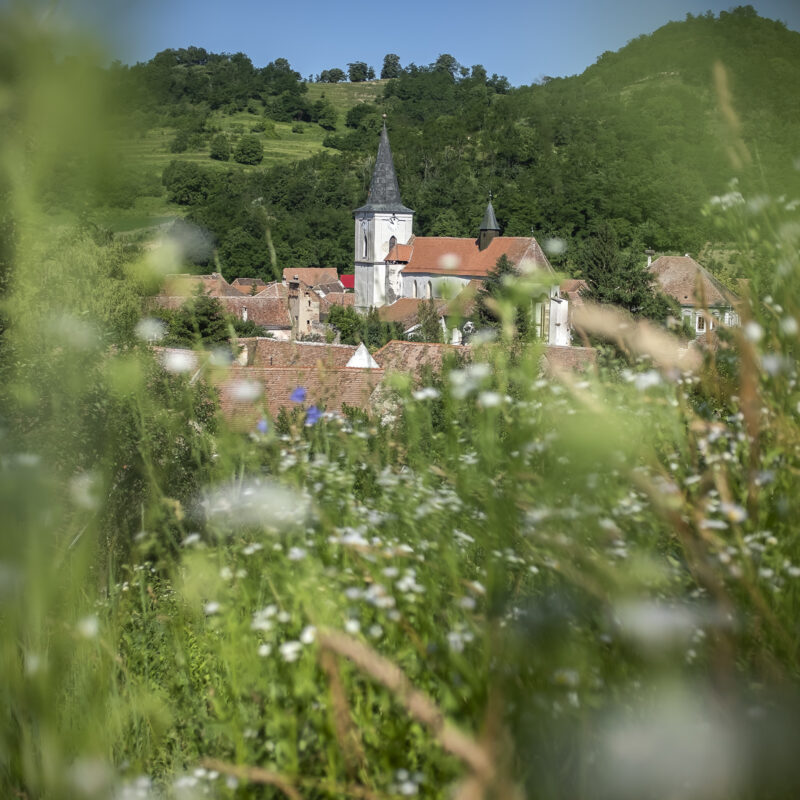 Reichesdorf - Richiș - Riomfalva