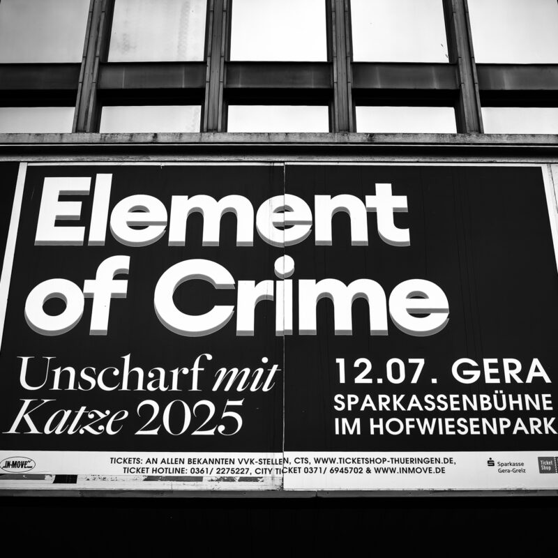 Unscharf mit Katze: