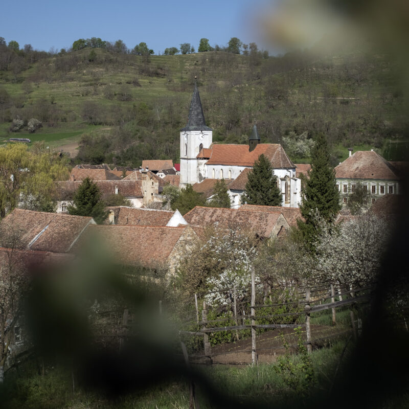 Ziua Leurdei - April 2026