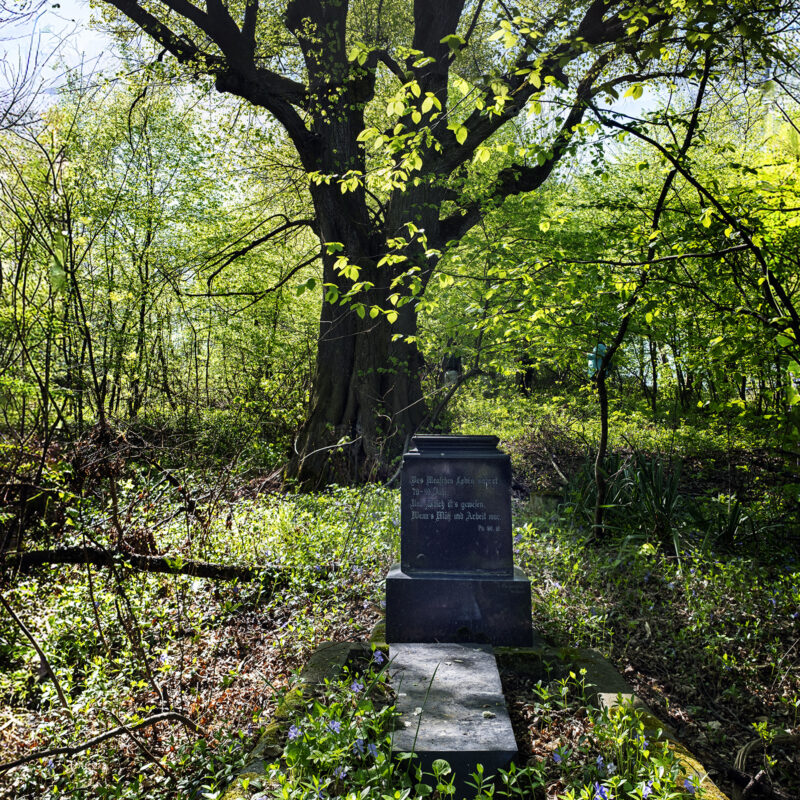 Der alte sächsische Friedhof