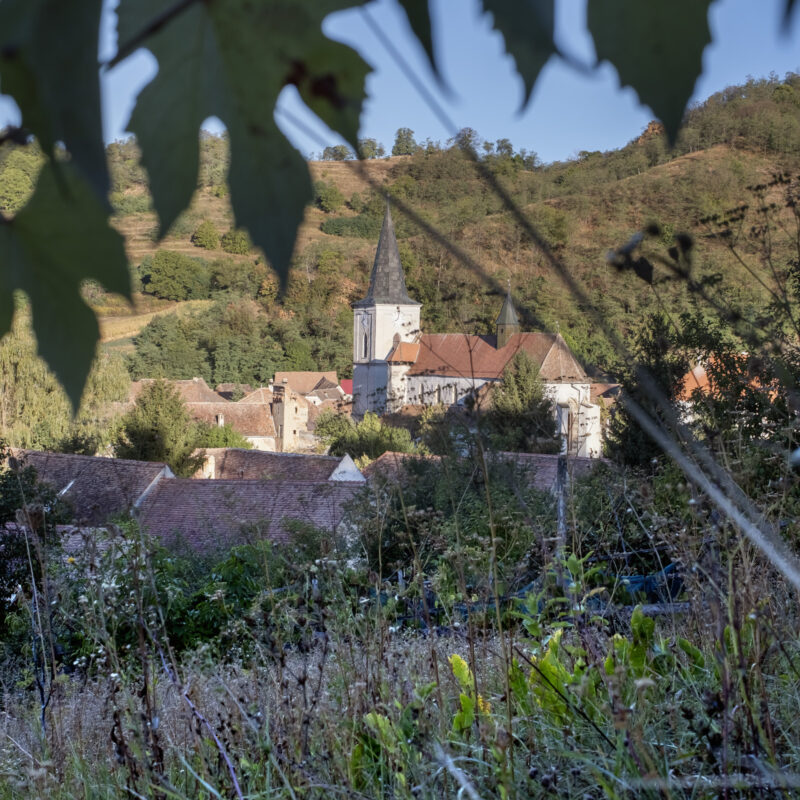 Blick auf die evangelische Kirche von Reichesdorf (Richiș), einem der Veranstaltungsorte des Transylvanian Arts Festival 2026